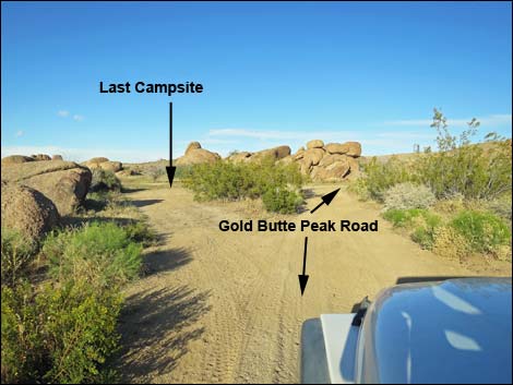 Gold Butte Peak Road