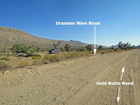 Uranium Mine