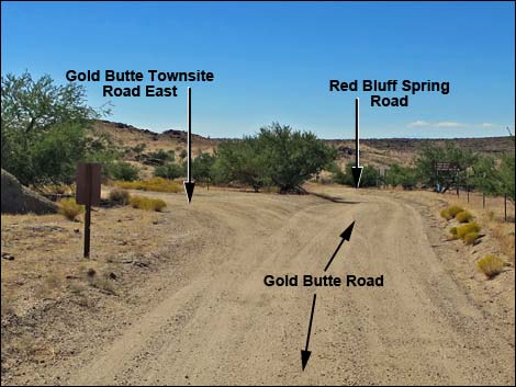 Gold Butte Townsite Road