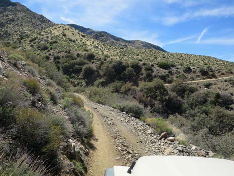 Hen Spring Canyon Road