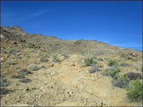 Nevada Mica Mine Road