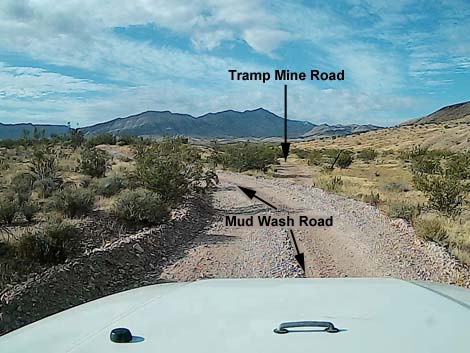 Tramp Mine Road