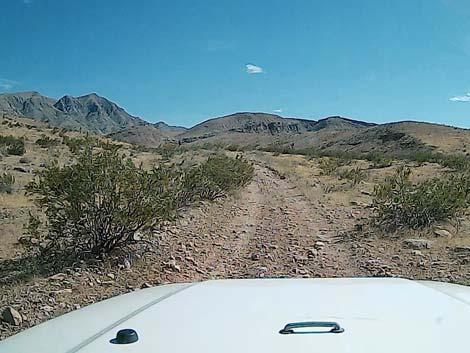 Tramp Mine Road