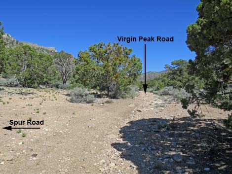 Virgin Peak Road