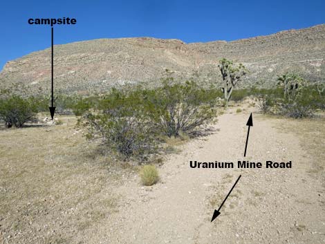 Uranium Mine