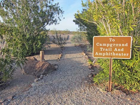 Bluff Trail