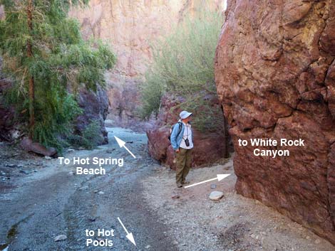 Hot Spring Canyon