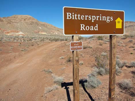 Bitterspring Road