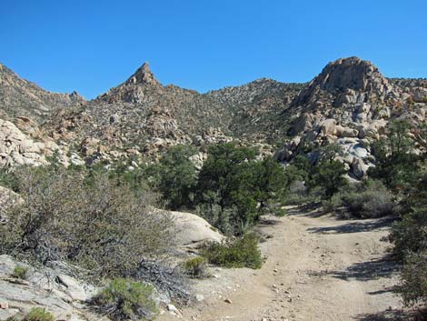 Caruthers Canyon