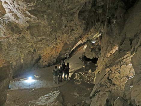 Mitchell Caverns Trail