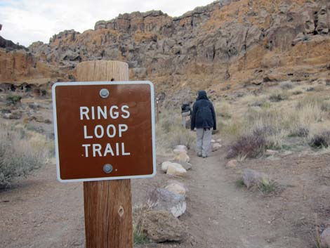 Rings Trail