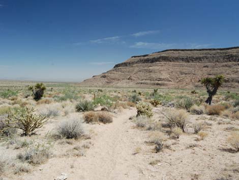 Wild Horse Spur Trail