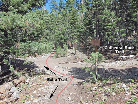 Echo Trail
