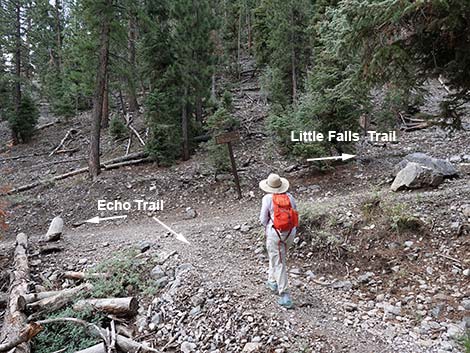 Little Falls Trail
