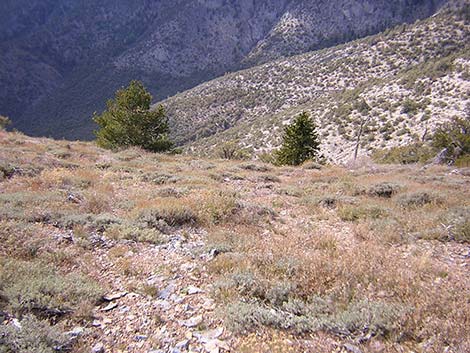 Harris Mountain Route