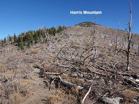 Harris Mountain Route