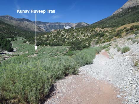 Kunav Huveep Trail