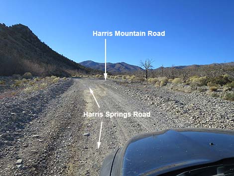 Harris Springs Road