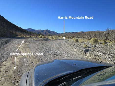 Harris Mountain Road