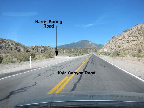 Harris Spring Road