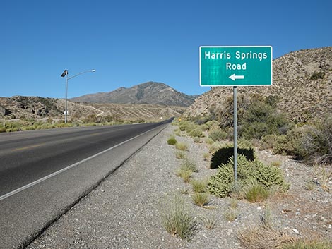 Harris Spring Road