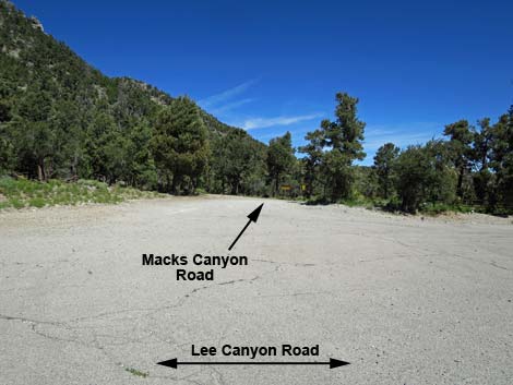 Lee Canyon Road