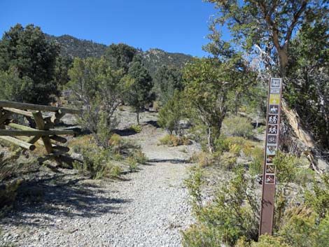 Rocky Gorge Loop Trail