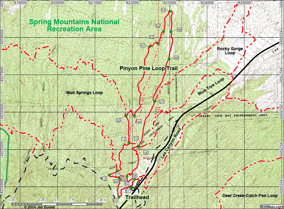 Pinyon Pine Loop Trail Map