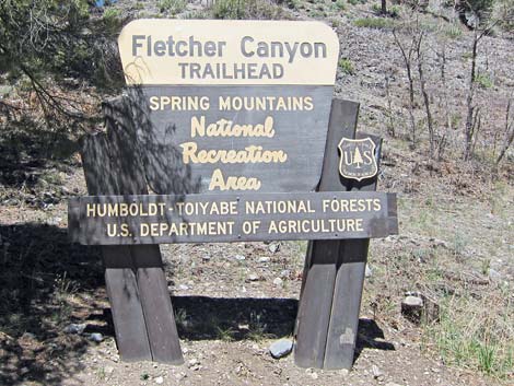 Fletcher Canyon Trailhead