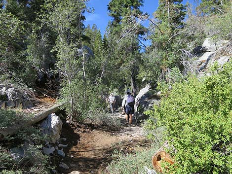 Wildhorse Loop Trail