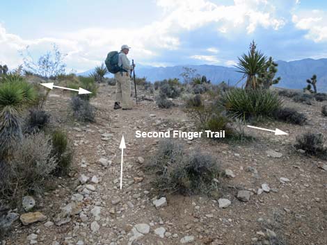 Second Finger Trail
