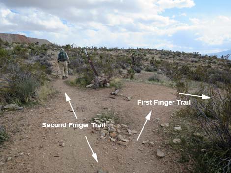 Second Finger Trail