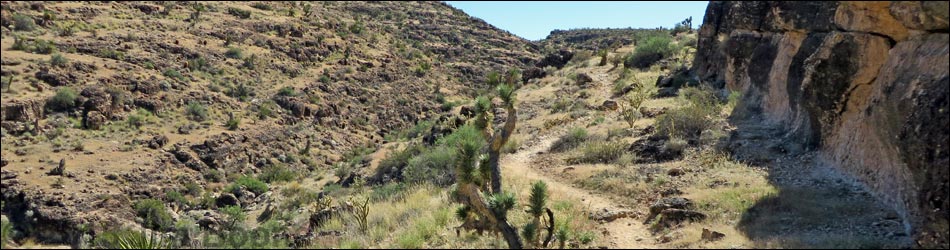 Fossil Trail -- Uphill