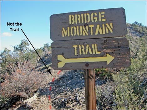 Bridge Mountain Trail