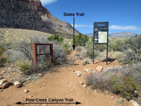 Dale's Trail