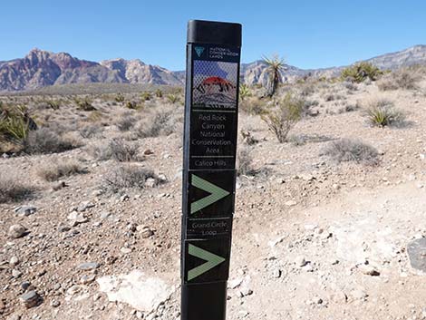 Entrance Station to Calico Basin Trail