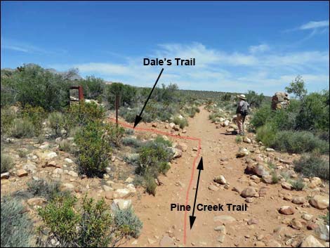 Dale's Trail