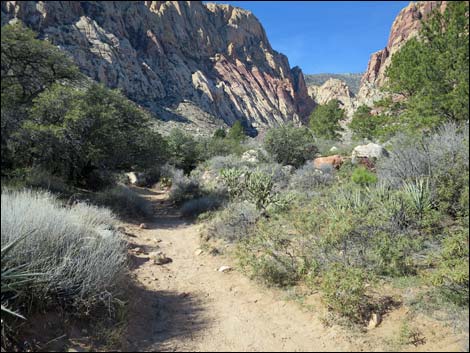 First Creek Canyon