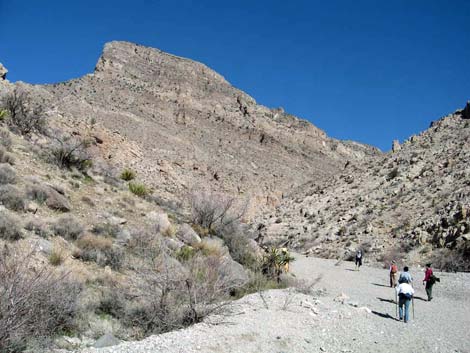 Gray Cap Peak Route
