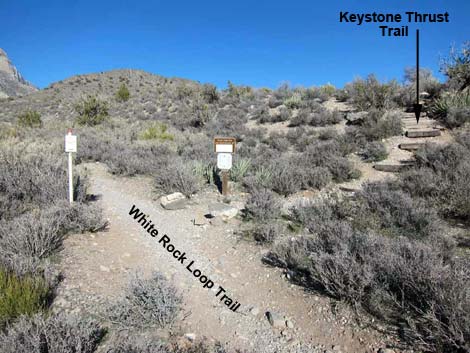 Keystone Thrust Trail