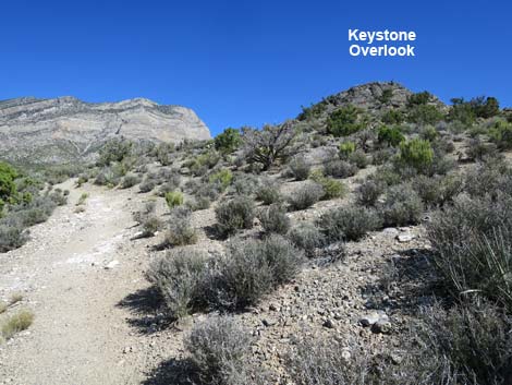 Keystone Basin Overlook