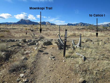 Moenkopi Trail