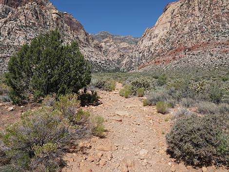 Oak Creek Canyon Trail 