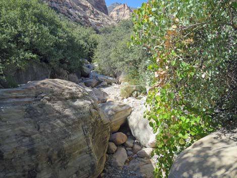 oak creek canyon
