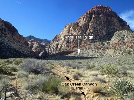 Oak Creek Canyon Trail