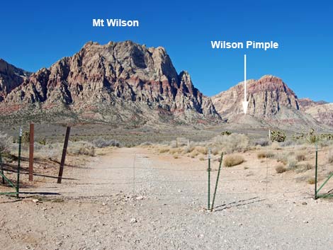 Wilson's Pimple Peak Trail