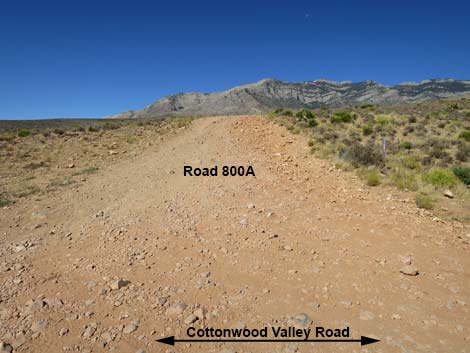 Cottonwood Valley Road