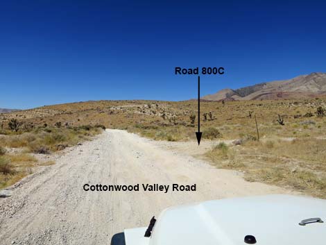 Cottonwood Valley Road