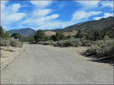 Lovell Canyon Road