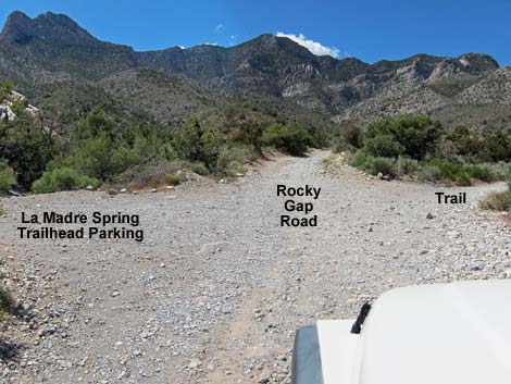 Rocky Gap Road